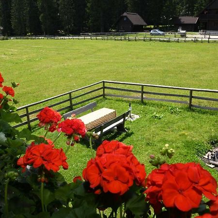 Вилла Pocitniska Hisa Jurcek Pokljuka Горельек Экстерьер фото