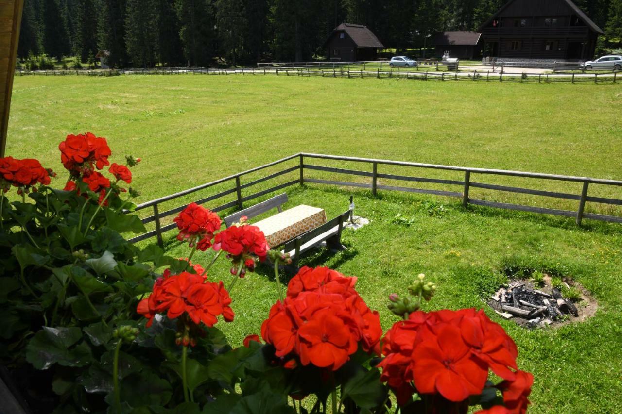 Вилла Pocitniska Hisa Jurcek Pokljuka Горельек Экстерьер фото