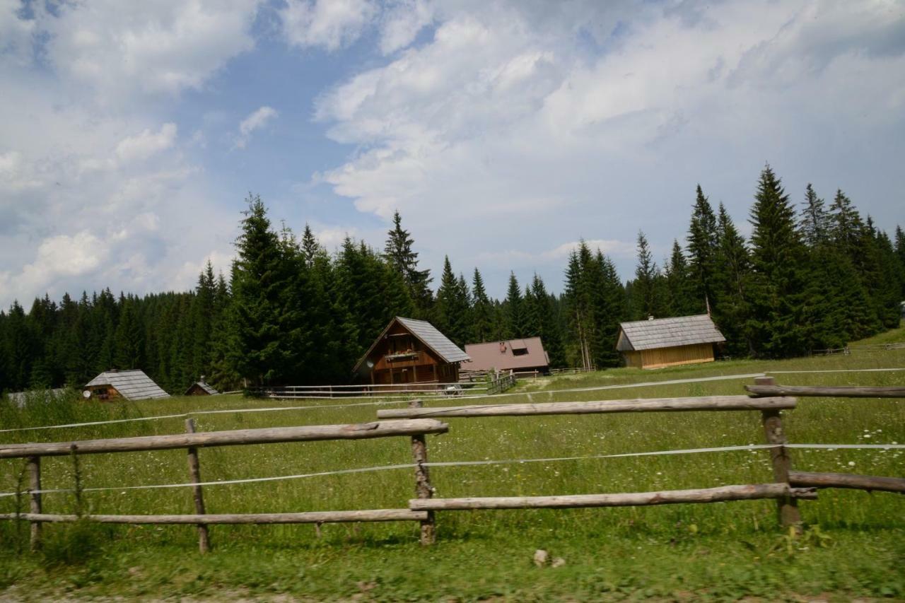 Вилла Pocitniska Hisa Jurcek Pokljuka Горельек Экстерьер фото