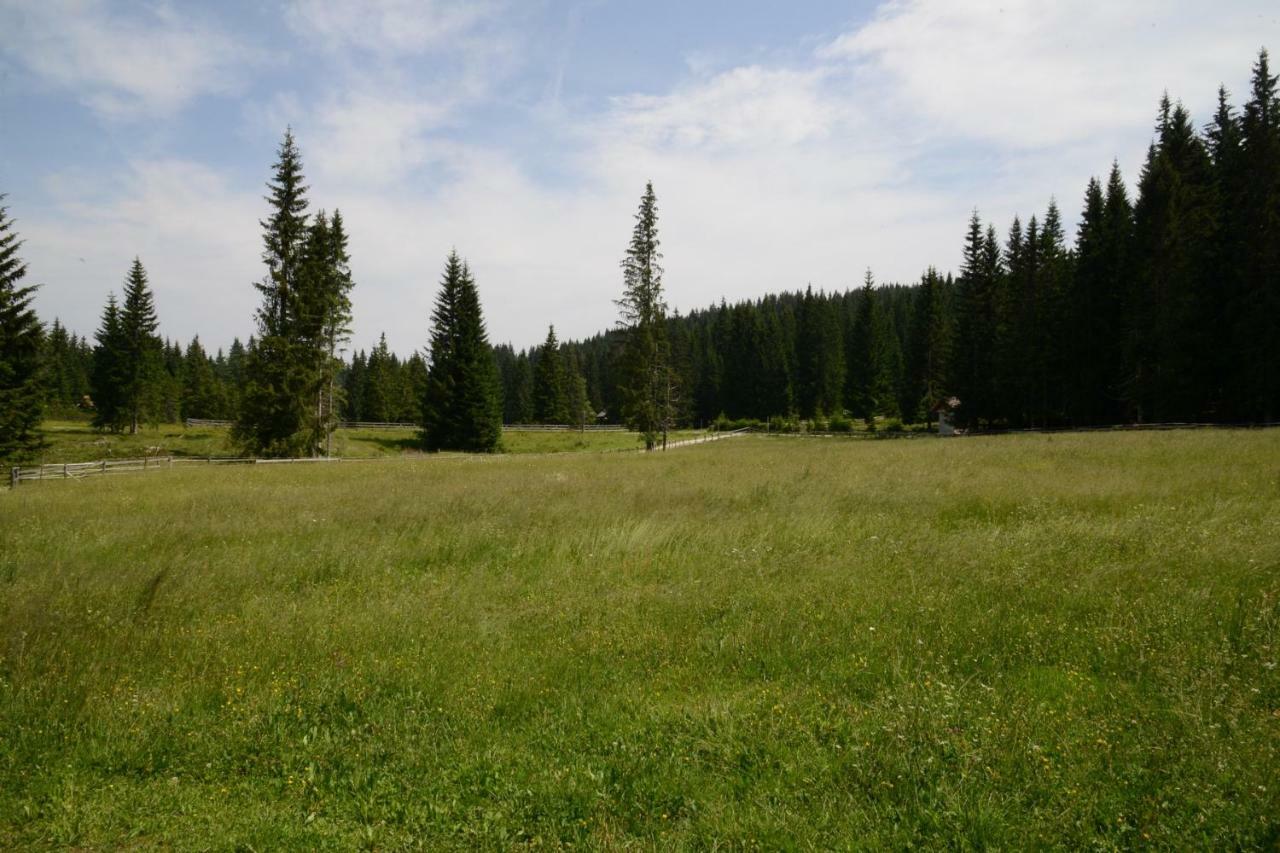 Вилла Pocitniska Hisa Jurcek Pokljuka Горельек Экстерьер фото