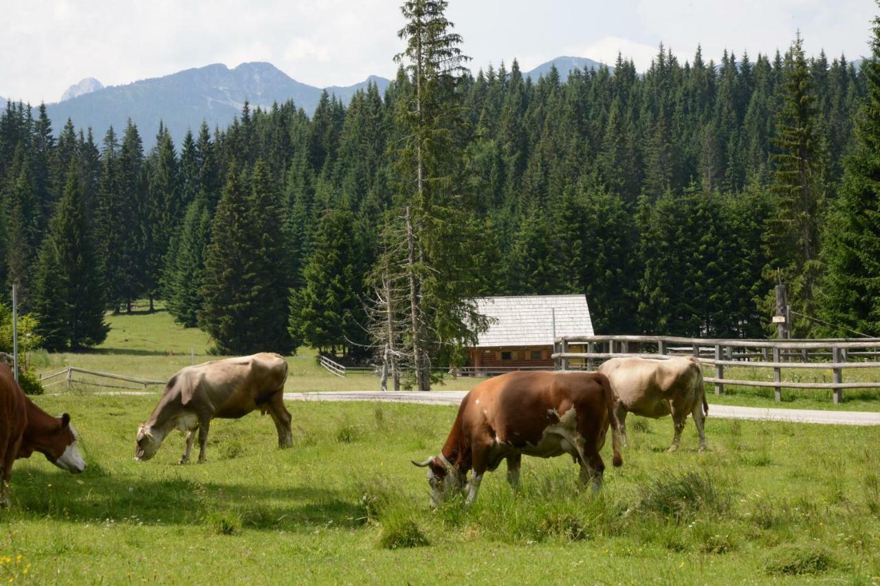 Вилла Pocitniska Hisa Jurcek Pokljuka Горельек Экстерьер фото