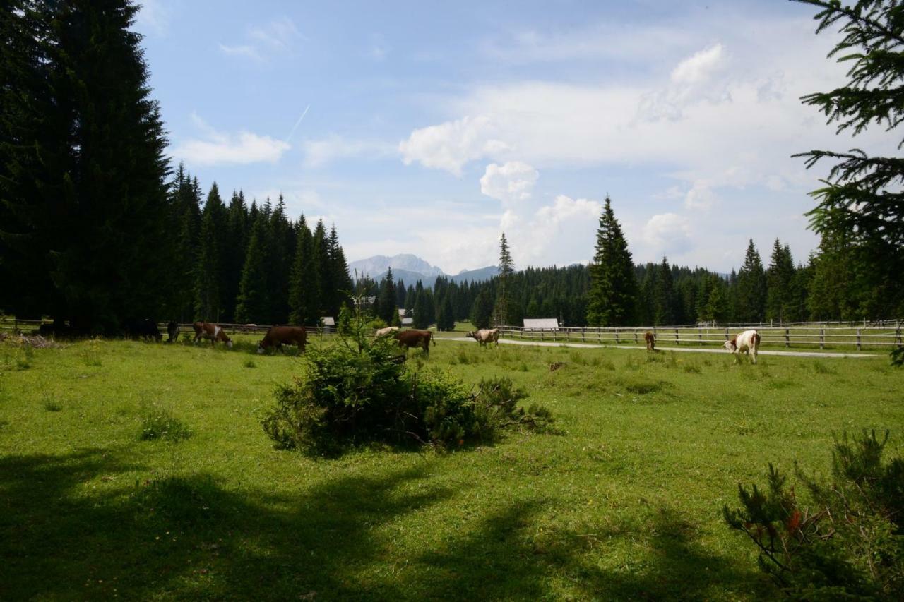 Вилла Pocitniska Hisa Jurcek Pokljuka Горельек Экстерьер фото
